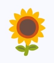 Sunflower Icon